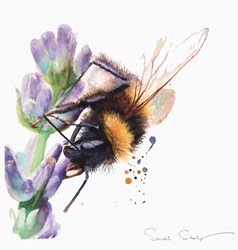 Beelicious by Sarah Stokes - Original Painting on Paper sized 12x12 inches. Available from Whitewall Galleries
